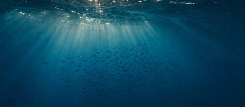 Lichtbündel in blauem Wasser, in der Ferne ein Schwarm als Silhouette (mit AI erstelltes Bild)